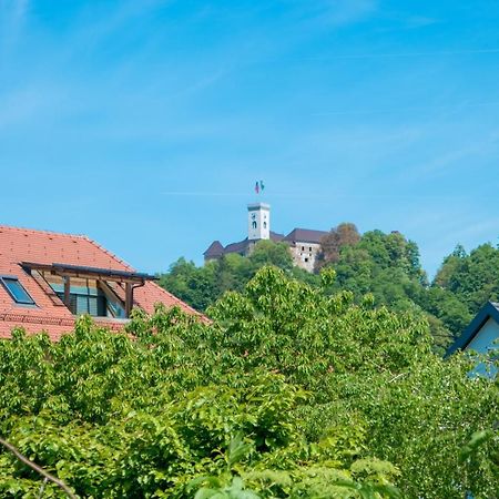 Arto Castle View Apartment Любляна Экстерьер фото